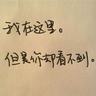 湖南石门极端暴雨 铁索桥10秒被冲断